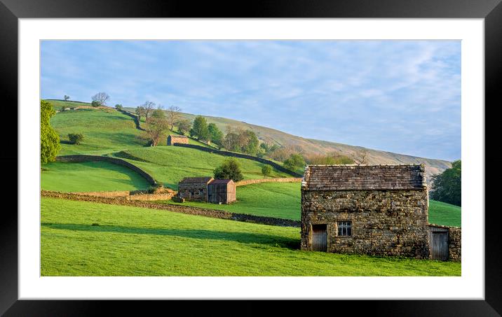 Muker Meadows Swaledale Framed Mounted Print by Tim Hill