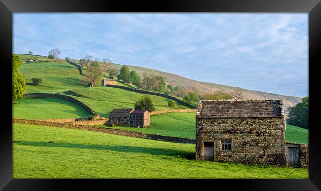 Muker Meadows Swaledale Framed Print by Tim Hill
