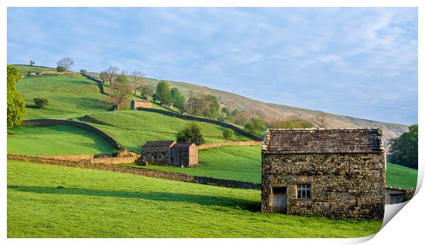 Muker Meadows Swaledale Print by Tim Hill