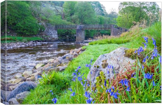Footbridge over the River Swale near Muker Canvas Print by Tim Hill
