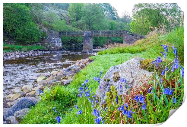 Footbridge over the River Swale near Muker Print by Tim Hill