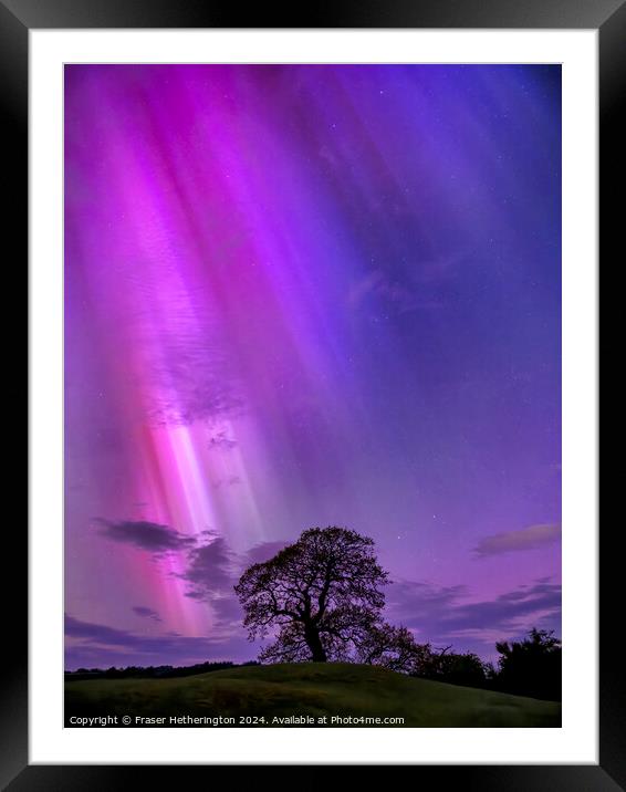 The Aurora Tree Framed Mounted Print by Fraser Hetherington