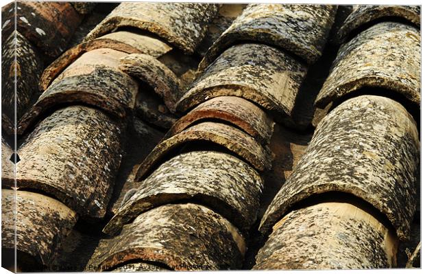 old roof tiles Canvas Print by Josep M Peñalver