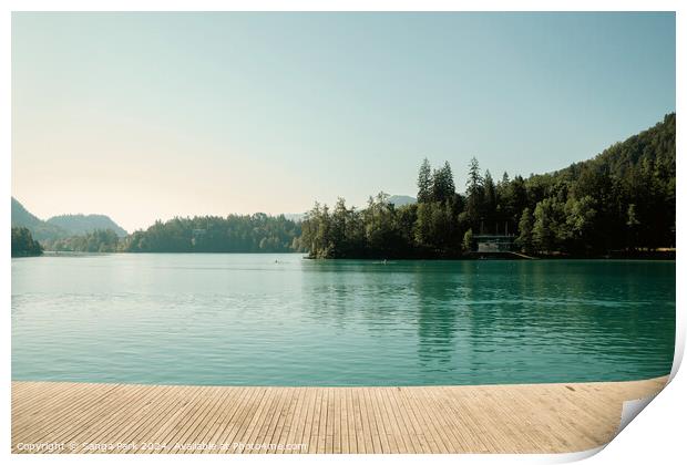 Lake Bled, Slovenia Print by Sanga Park