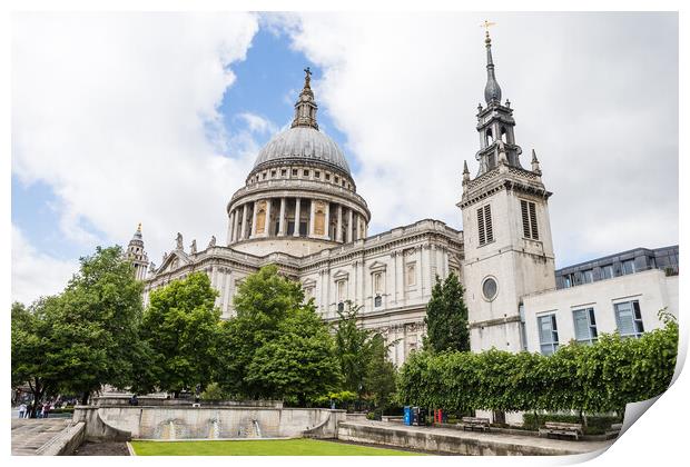 Looking up at St Pauls Cathedral Print by Jason Wells