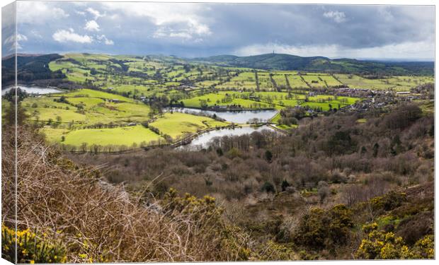Tegg's Nose Country Park panorama Canvas Print by Jason Wells