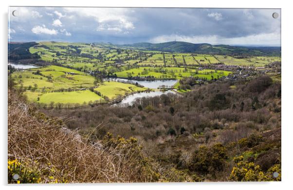 Tegg's Nose Country Park panorama Acrylic by Jason Wells