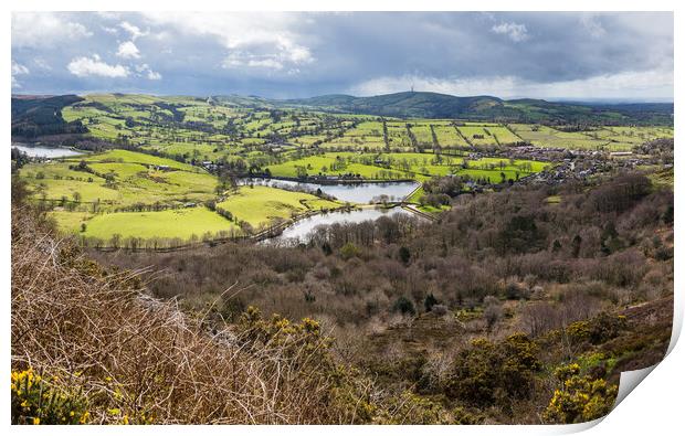 Tegg's Nose Country Park panorama Print by Jason Wells