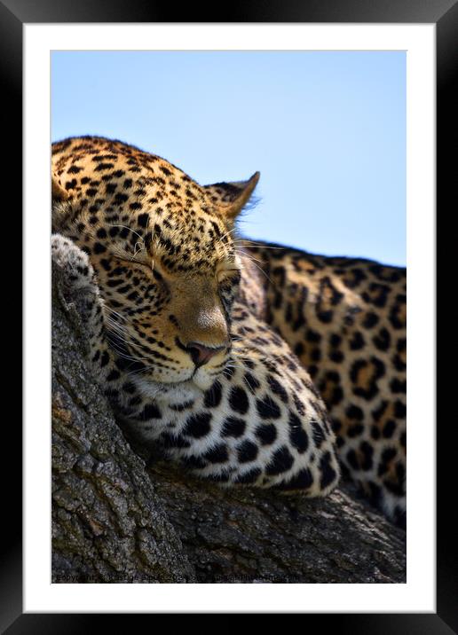 Sleeping beauty in Africa Framed Mounted Print by Kristine Sipola