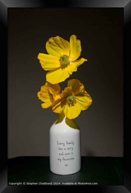 Wild yellow poppies Framed Print by Stephen Chadbond