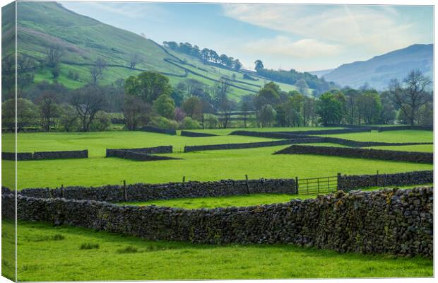 Muker Meadows Swaledale Canvas Print by Tim Hill