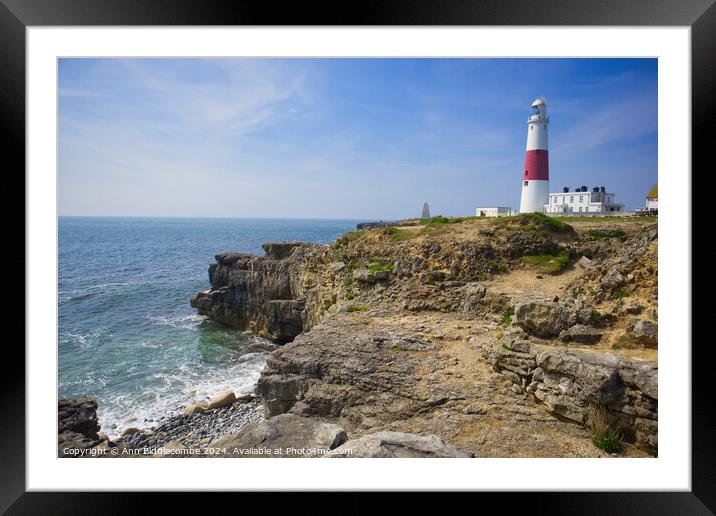 Portland Lighthouse  Framed Mounted Print by Ann Biddlecombe