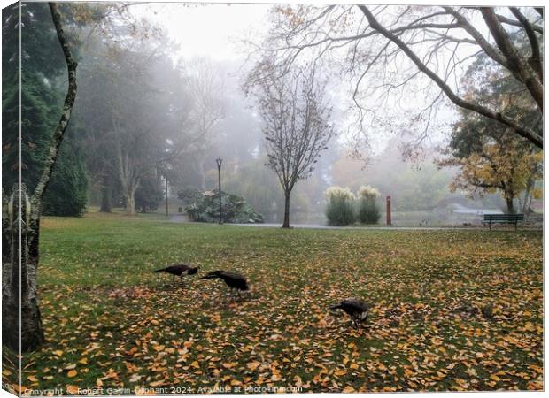 Peacocks in a foggy park Canvas Print by Robert Galvin-Oliphant