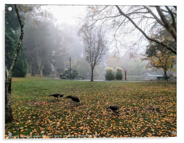 Peacocks in a foggy park Acrylic by Robert Galvin-Oliphant