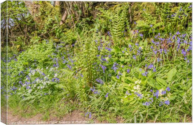 Spring Wild Flowers Canvas Print by Richard Laidler