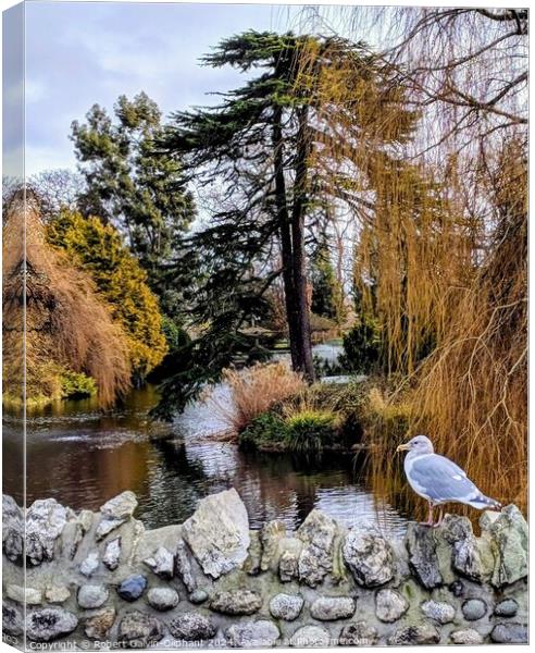 A seagull on a park old stone bridge  Canvas Print by Robert Galvin-Oliphant
