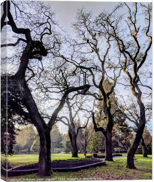 Barren trees in park Canvas Print by Robert Galvin-Oliphant