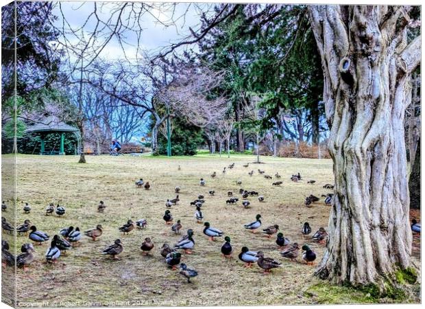 Ducks congregate by an old tree Canvas Print by Robert Galvin-Oliphant