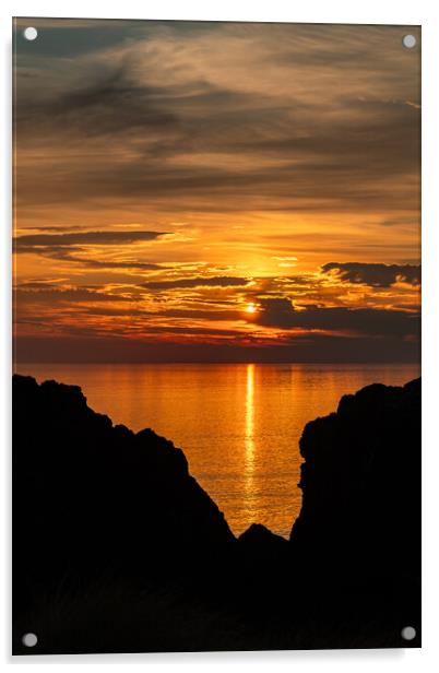Lovely evening on Llandwyn Island Anglesey  Acrylic by Gail Johnson