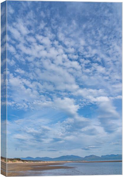 Sky cloud Canvas Print by Gail Johnson