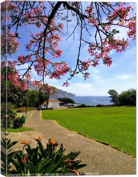 Ocean view from Madeira park Canvas Print by Robert Galvin-Oliphant