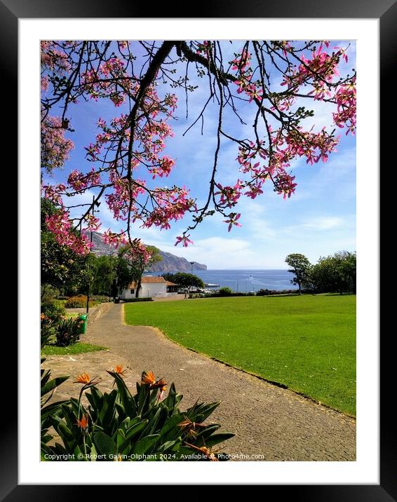 Ocean view from Madeira park Framed Mounted Print by Robert Galvin-Oliphant