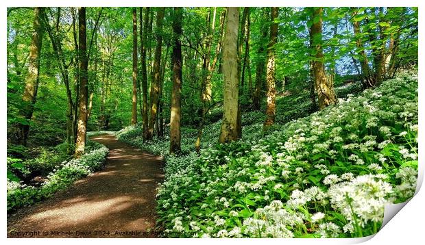 Wild Garlic Mason's Wood Print by Michele Davis