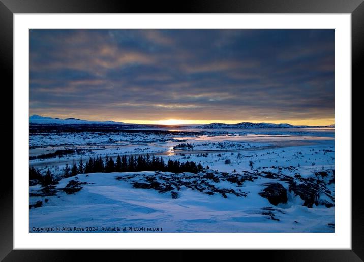 Sunrise over Thingvellir Rift Valley Iceland Framed Mounted Print by Alice Rose Lenton