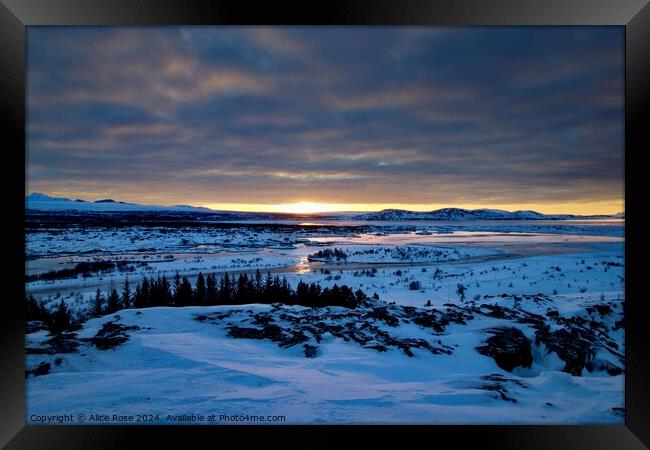 Sunrise over Thingvellir Rift Valley Iceland Framed Print by Alice Rose Lenton