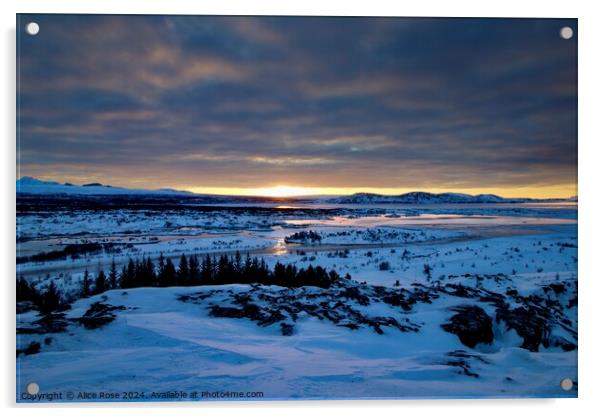 Sunrise over Thingvellir Rift Valley Iceland Acrylic by Alice Rose Lenton