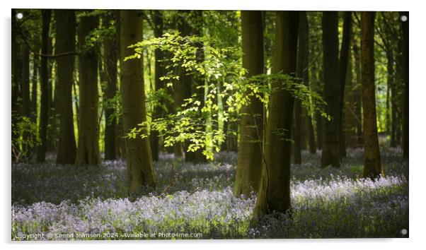 Sunlit leaves and bluebells  Acrylic by Simon Johnson