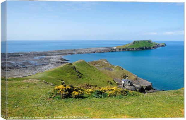 Worms head boathouse Canvas Print by Diana Mower