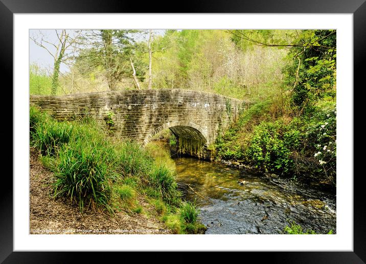  Penllergaer Stone Bridge Wales Framed Mounted Print by Diana Mower