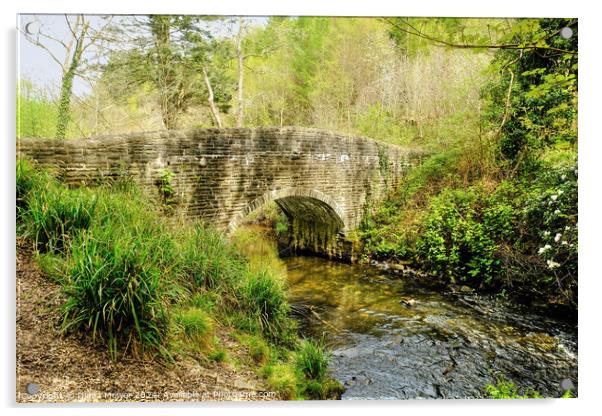  Penllergaer Stone Bridge Wales Acrylic by Diana Mower