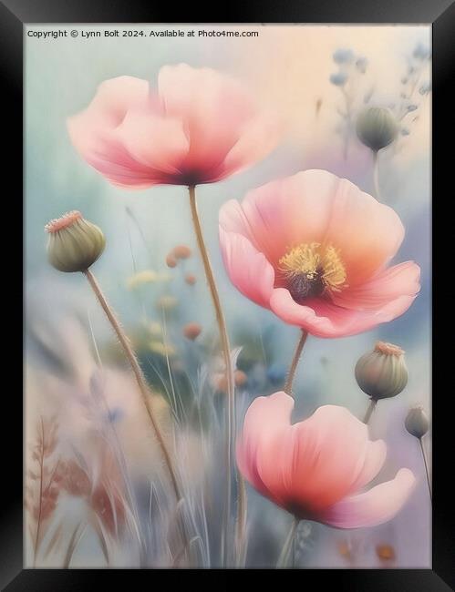 Three poppies Framed Print by Lynn Bolt