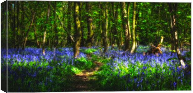 Bluebell Wood Nottingham. Canvas Print by Craig Yates