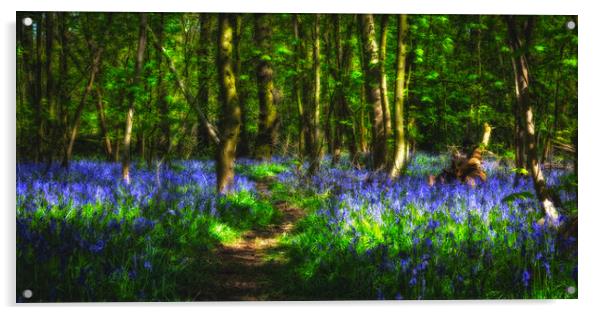 Bluebell Wood Nottingham. Acrylic by Craig Yates