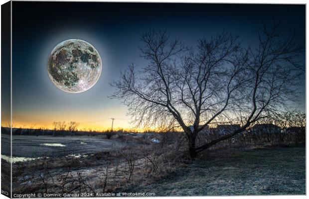 Full Moon At Sunrise Canvas Print by Dominic Gareau