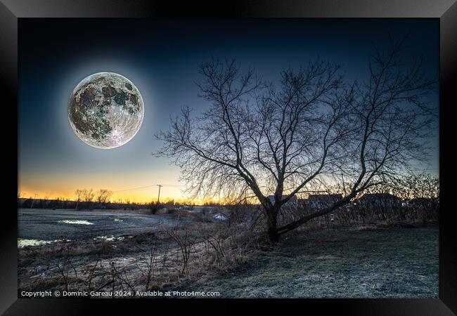 Full Moon At Sunrise Framed Print by Dominic Gareau