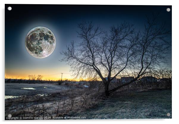 Full Moon At Sunrise Acrylic by Dominic Gareau