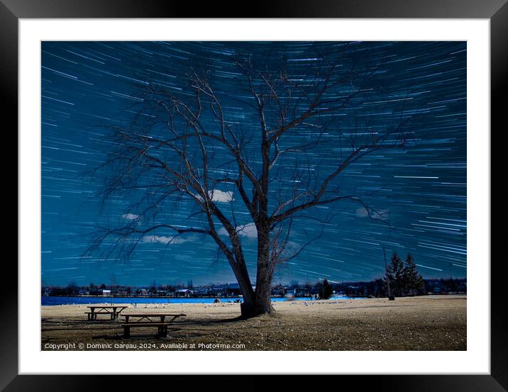 Star Trails Behind Tree Framed Mounted Print by Dominic Gareau