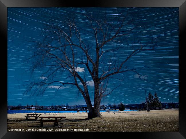 Star Trails Behind Tree Framed Print by Dominic Gareau
