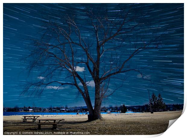Star Trails Behind Tree Print by Dominic Gareau