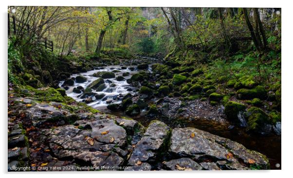 Ingleton Waterfall Trail Yorkshire. Acrylic by Craig Yates
