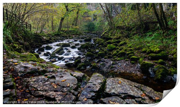 Ingleton Waterfall Trail Yorkshire. Print by Craig Yates