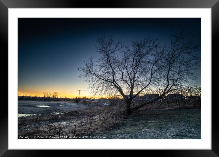 Tree At Sunrise Framed Mounted Print by Dominic Gareau