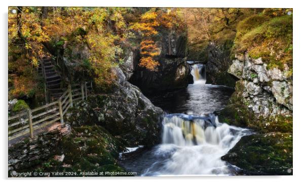 Ingleton Waterfall Trail Yorkshire. Acrylic by Craig Yates