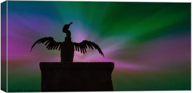 Morecambe Cormorant with the Northern Lights Canvas Print by Keith Douglas