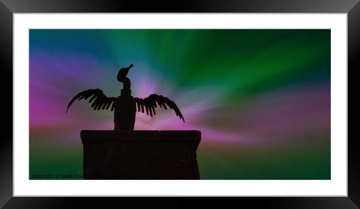 Morecambe Cormorant with the Northern Lights Framed Mounted Print by Keith Douglas