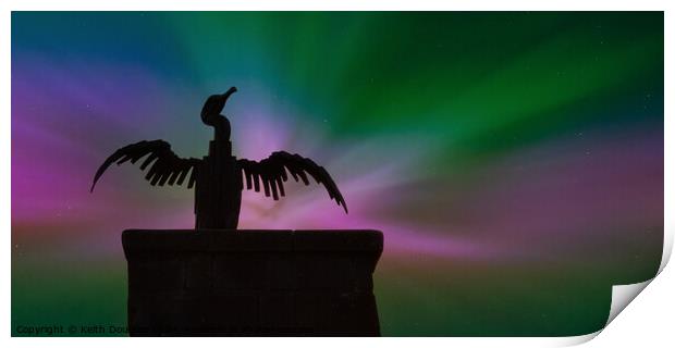 Morecambe Cormorant with the Northern Lights Print by Keith Douglas